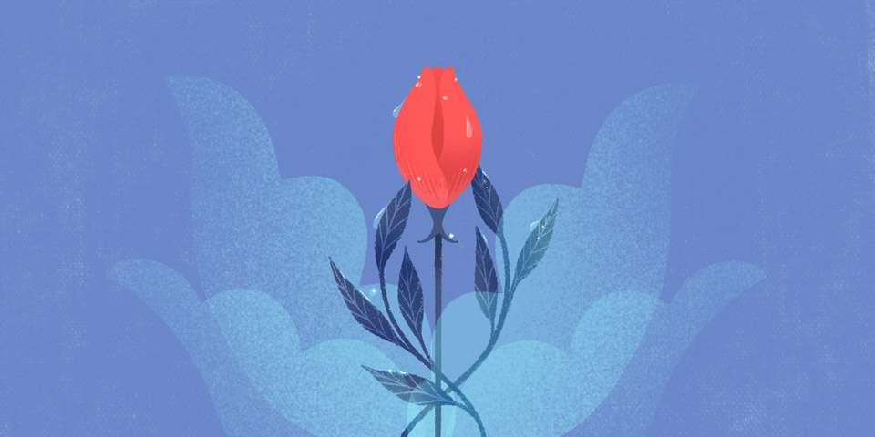 Rose pour le vaginisme